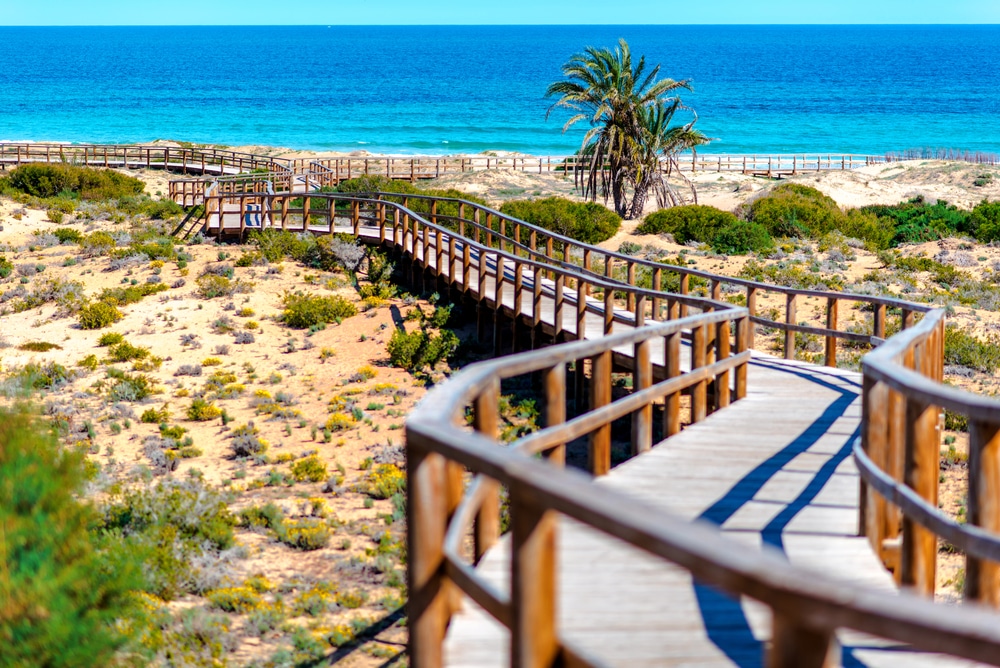 alicante